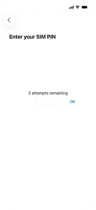 If your SIM is locked, key in your PIN and press OK.