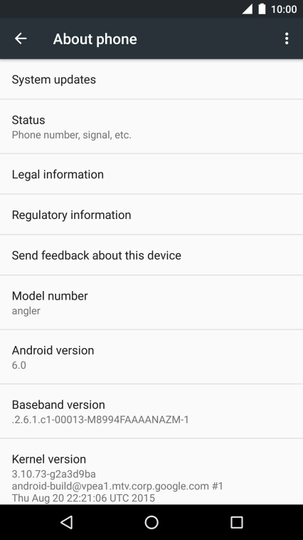 Press System updates. If a new software version is available, it's displayed. 
Follow the instructions on the screen to update the phone software.