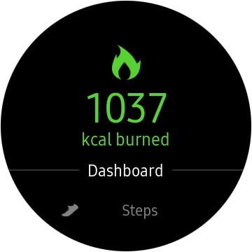 Press the pedometer icon.