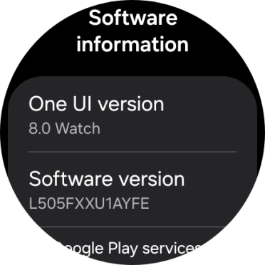 The software version of your smartwatch is displayed below Software information. The software version of your smartwatch is displayed below Software information.