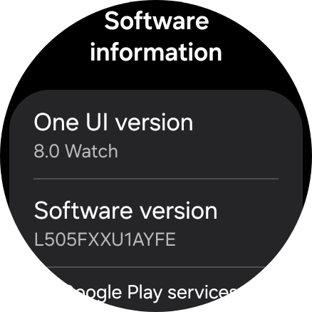 The software version of your smartwatch is displayed below Software information. The software version of your smartwatch is displayed below Software information.