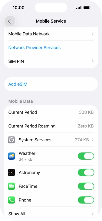 The total data usage is displayed next to Current Period. The total data usage is displayed next to Current Period.