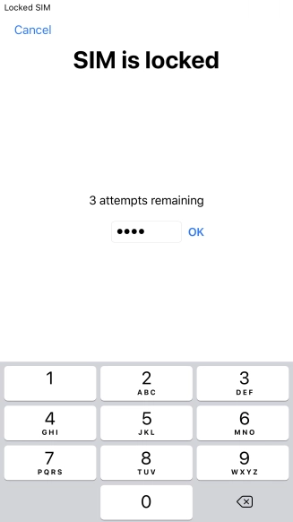 If your SIM is locked, key in your PIN and press OK.