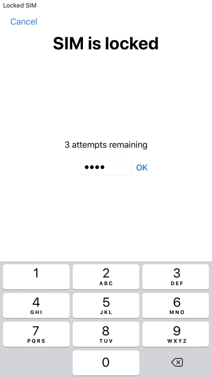 If your SIM is locked, key in your PIN and press OK.