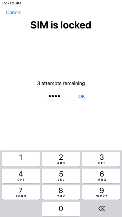 If your SIM is locked, key in your PIN and press OK.
