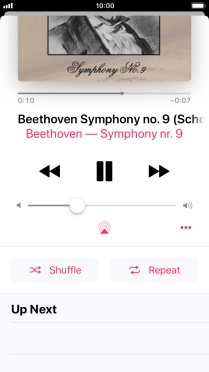 Press Shuffle to turn the function on or off.