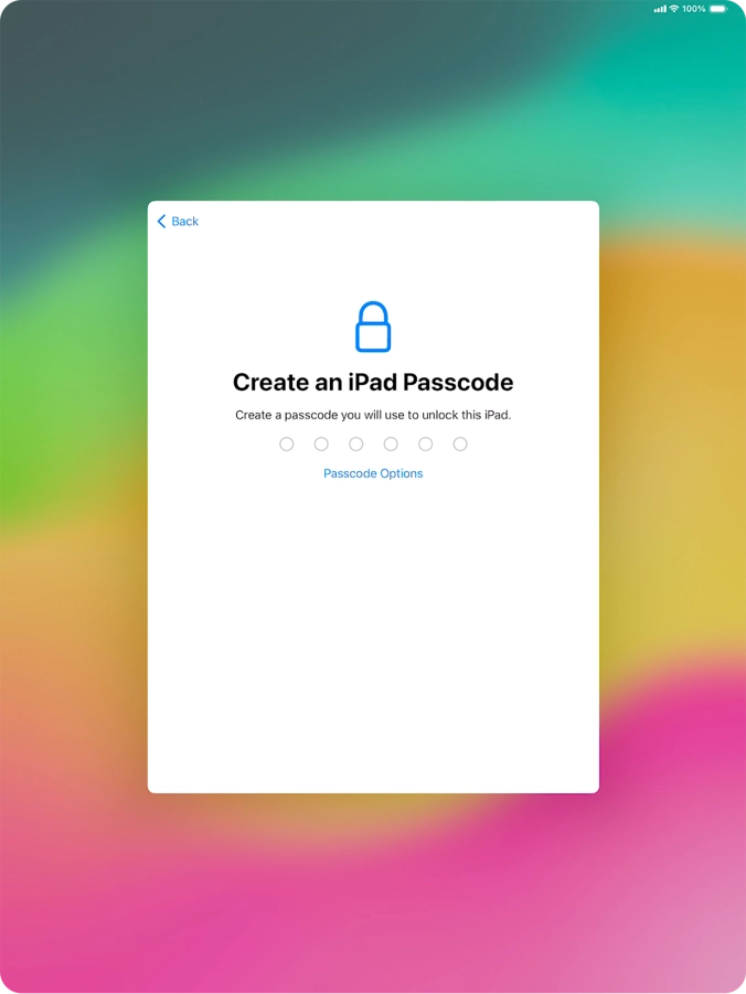 Press Passcode Options.