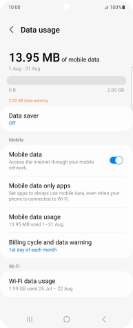 The total data usage is displayed. The total data usage is displayed.