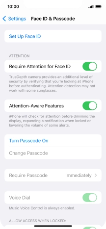 Press Turn Passcode On and key in a phone lock code of your own choice twice.