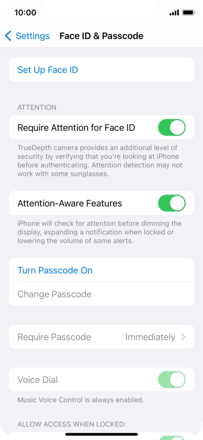 Press Turn Passcode On and key in a phone lock code of your own choice twice.