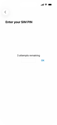 If your SIM is locked, key in your PIN and press OK.