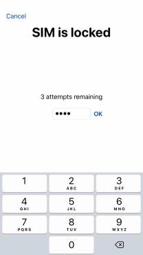 If your SIM is locked, key in your PIN and press OK.