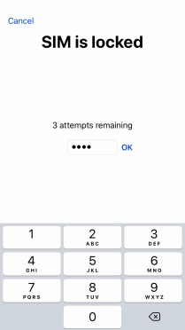 If your SIM is locked, key in your PIN and press OK.