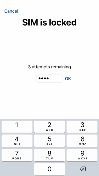 If your SIM is locked, key in your PIN and press OK.
