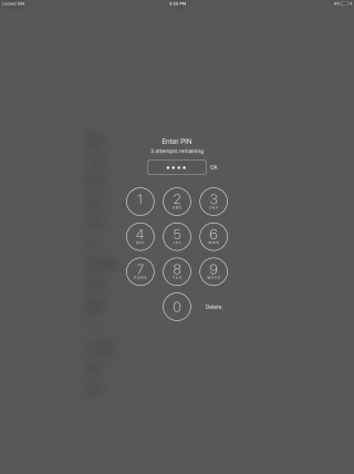 Key in your PIN and press OK. Key in your PIN and press OK.