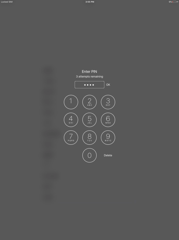 Key in your PIN and press OK. Key in your PIN and press OK.