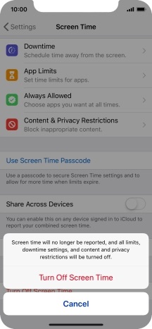 Press Turn Off Screen Time. Press Turn Off Screen Time.