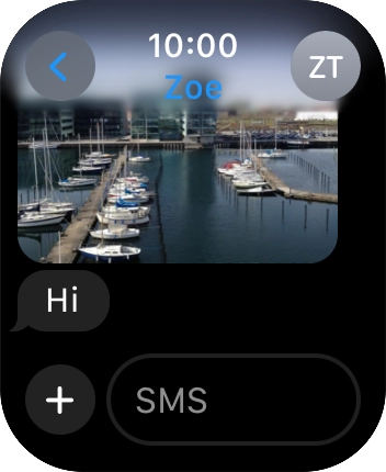Press SMS. Press SMS.