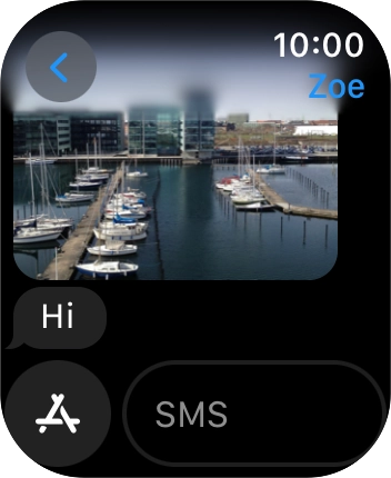 Press SMS. Press SMS.