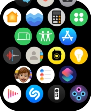Press the Digital Crown to return to the home screen. Press the Digital Crown to return to the home screen.