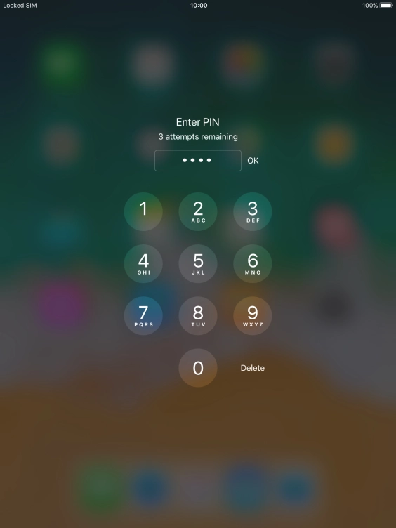 Key in your PIN and press OK.