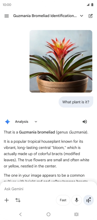 Follow the instructions on the screen to type or speak the required question. You can also attach pictures or documents and ask questions to them.