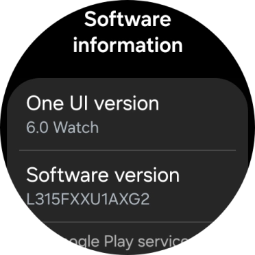 The software version of your smartwatch is displayed below Software version. The software version of your smartwatch is displayed below Software version.