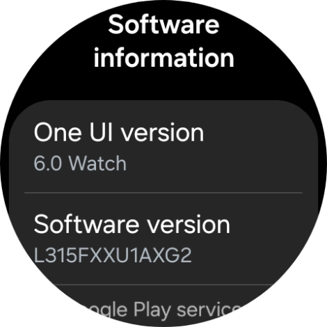 The software version of your smartwatch is displayed below Software version. The software version of your smartwatch is displayed below Software version.