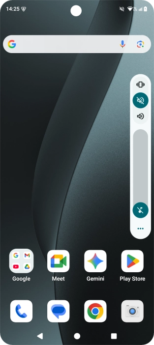 Press the sound icon to turn off the function.