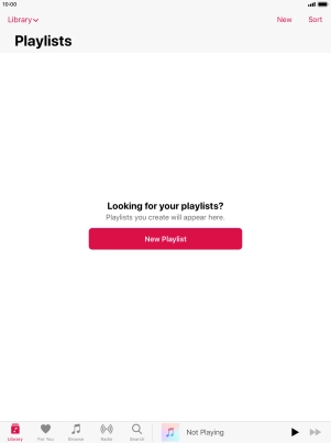Press New Playlist.