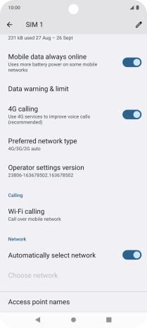 Press Preferred network type.