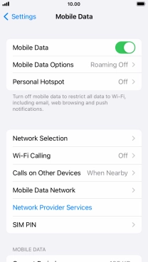 Press Mobile Data Options.