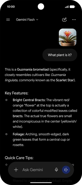 Follow the instructions on the screen to type or speak the required question. You can also attach pictures or documents and ask questions to them.