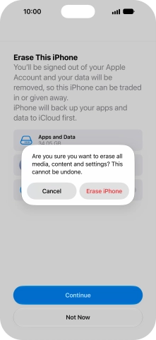 Press Erase iPhone.