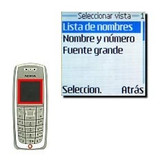 Elija uno de los siguientes tipos de vista:Lista de nombres
