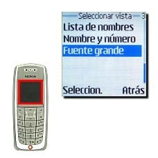 Fuente grande