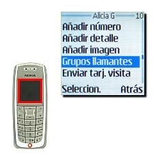 Vaya a Grupos llamantes y pulse Seleccion..
