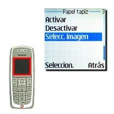 Elija Selecc. imagen y pulse Seleccion..