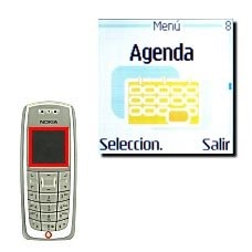 Vaya a Agenda y pulse Seleccion..La pantalla muestra una hoja de calendario del mes corriente con la fecha de hoy marcada.