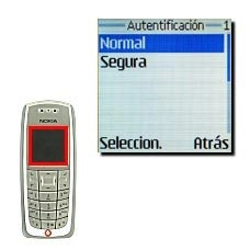 Elija Normal y pulse Seleccion..