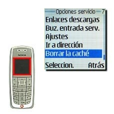 Vaya a Borrar la caché y pulse Seleccion..