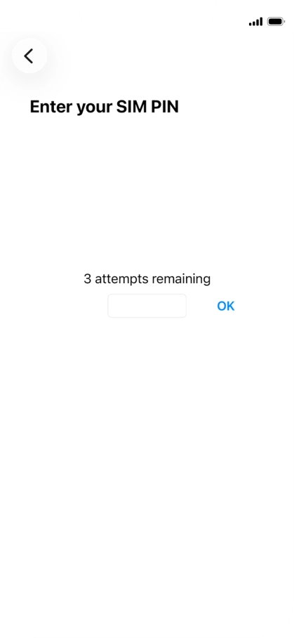 If your SIM is locked, key in your PIN and press OK.