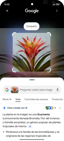 Sigue las indicaciones de la pantalla para utilizar los resultados de búsqueda. Sigue las indicaciones de la pantalla para utilizar los resultados de búsqueda.