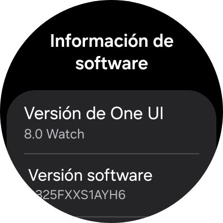 Bajo Versión software aparece la versión de software del smartwatch. Bajo Versión software aparece la versión de software del smartwatch.
