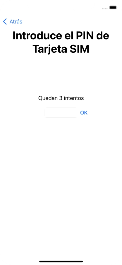 Si es necesario desbloquear la tarjeta SIM, introduce el código PIN y pulsa OK. Si es necesario desbloquear la tarjeta SIM, introduce el código PIN y pulsa OK.