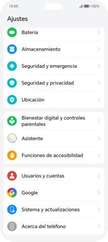 Pulsa Sistema y actualizaciones.
