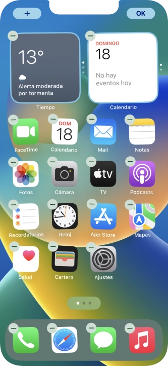 Pulsa el icono de página de pantalla de inicio. Pulsa el icono de página de pantalla de inicio.