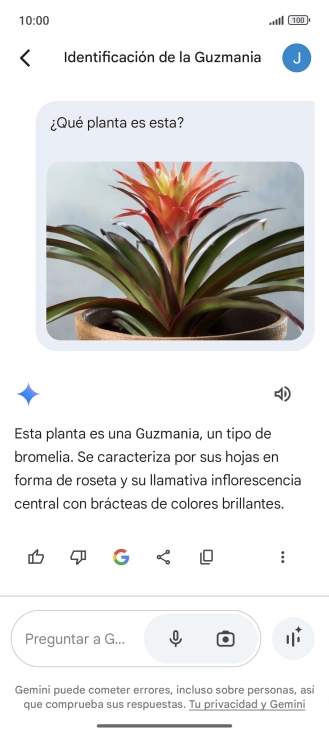Sigue las indicaciones de la pantalla para escribir o decir en alto la pregunta deseada. Puedes adjuntar fotografías o documentos y hacer preguntas acerca de ellos. Sigue las indicaciones de la pantalla para escribir o decir en alto la pregunta deseada. Puedes adjuntar fotografías o documentos y hacer preguntas acerca de ellos.