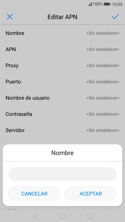 Introduce Vodafone Internet y pulsa ACEPTAR.
