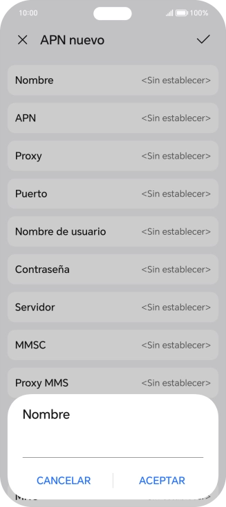 Introduce Vodafone Internet y pulsa ACEPTAR.